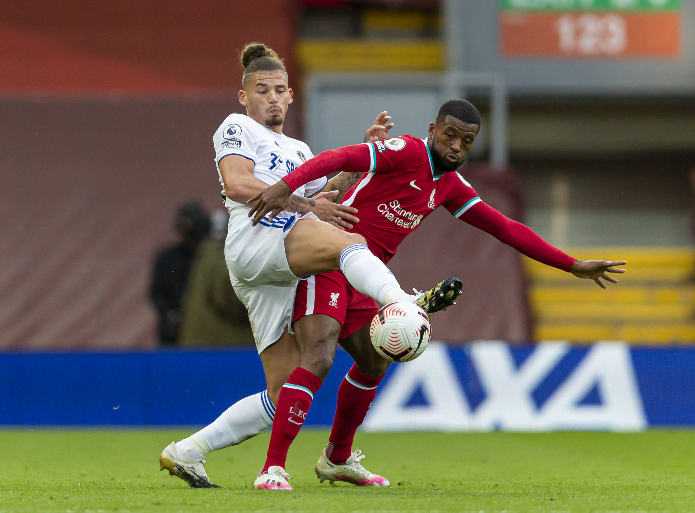 稳定的发展 稳定的发展